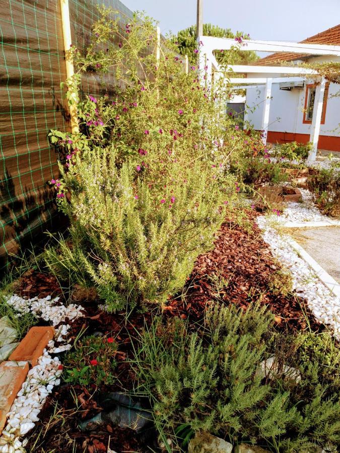 Moita Cottage Luaran gambar